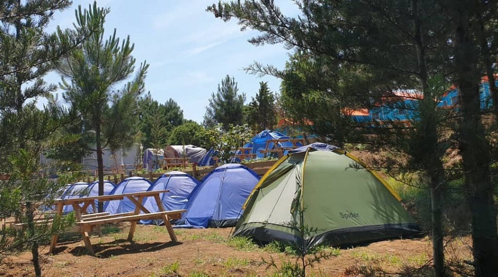 İstanbul Kamp Alanları - Gelesun Camping