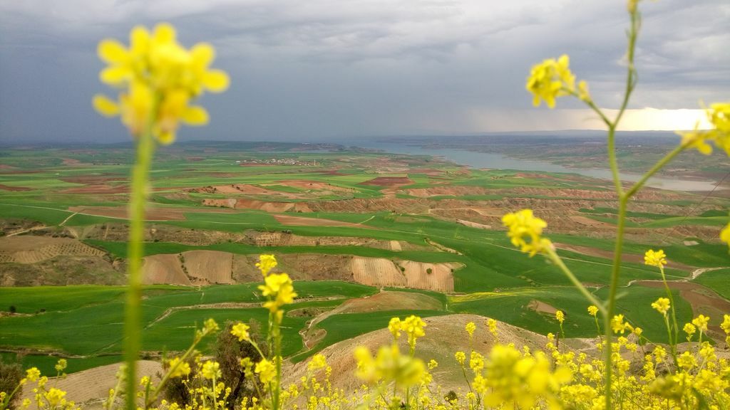 Adıyaman Kamp Alanları