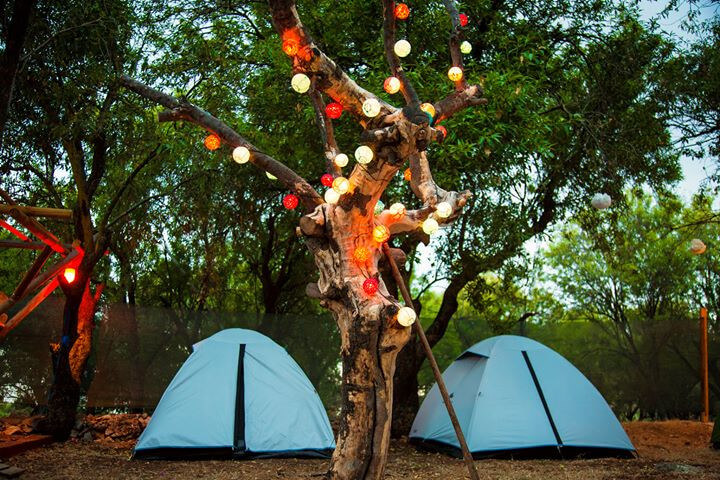 Seles Camping 7
