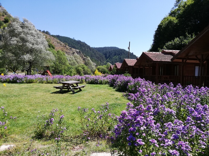 Çorum Bungalov Oteller ve Bungalov Evler