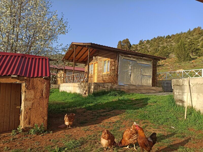 Kahramanmaraş Bungalov Oteller ve Bungalov Evler