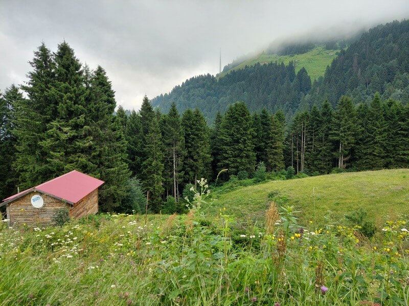 Maçka Bungalov Oteller ve Bungalov Evler