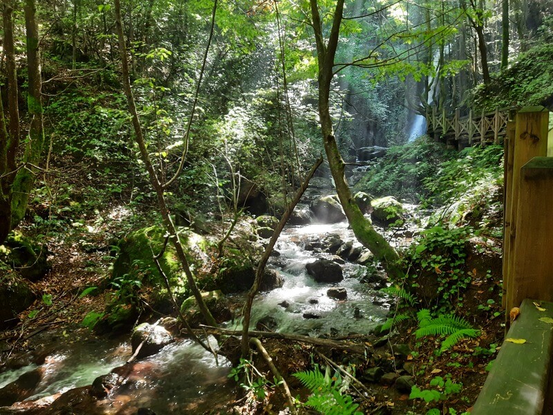 Aydinpinar Selalesi Tabiat Parki Kamp Alani 5