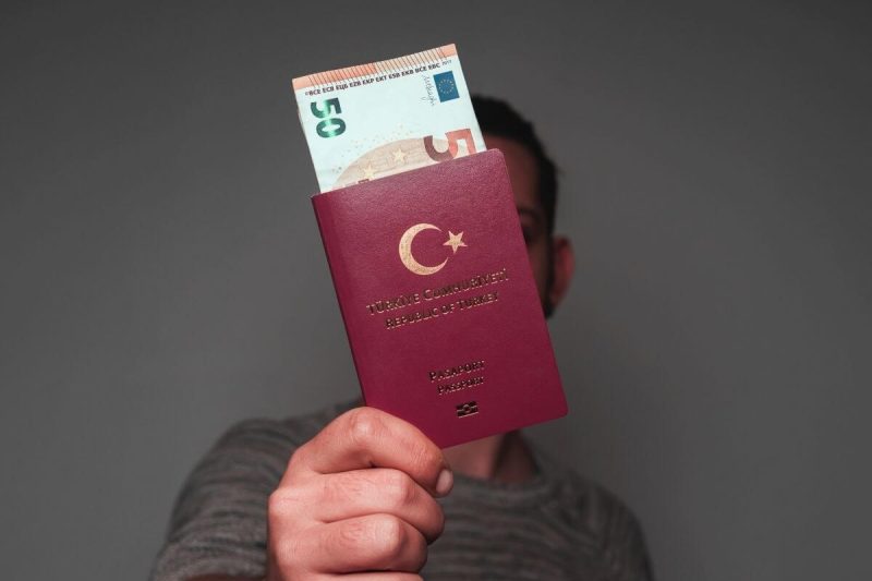 Harçsız Öğrenci Pasaportu (Nedir? Nasıl Alınır?)