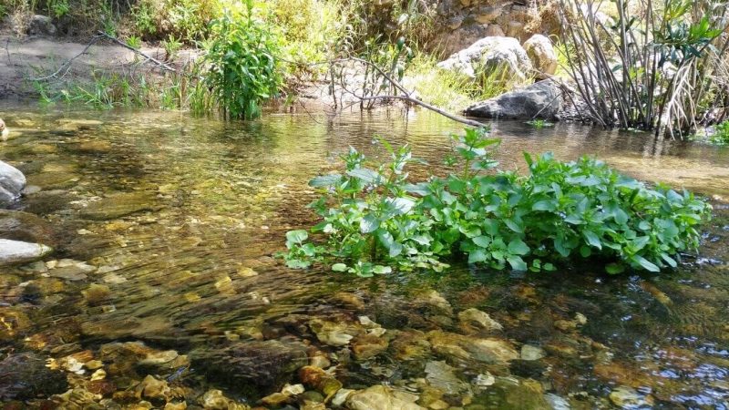 Olimpos Gezilecek Yerler 7