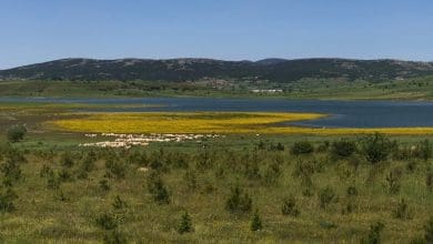 Bozuyuk kamp alanlari