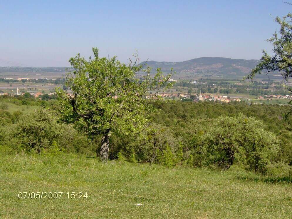 Balıkesir Gönen Gezi Rehberi