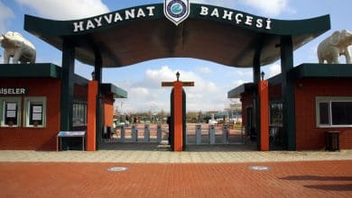 Eskisehir Hayvanat Bahcesi 1