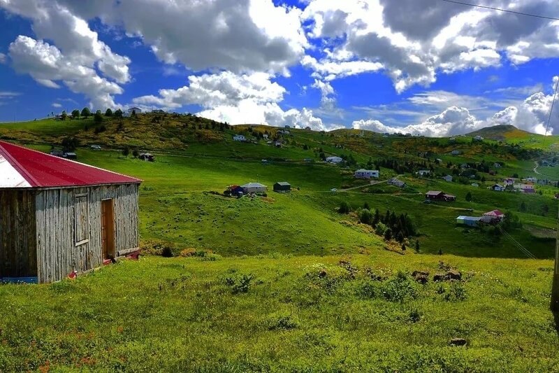 Kayabasi Tabiat Parki Kamp Alani 3