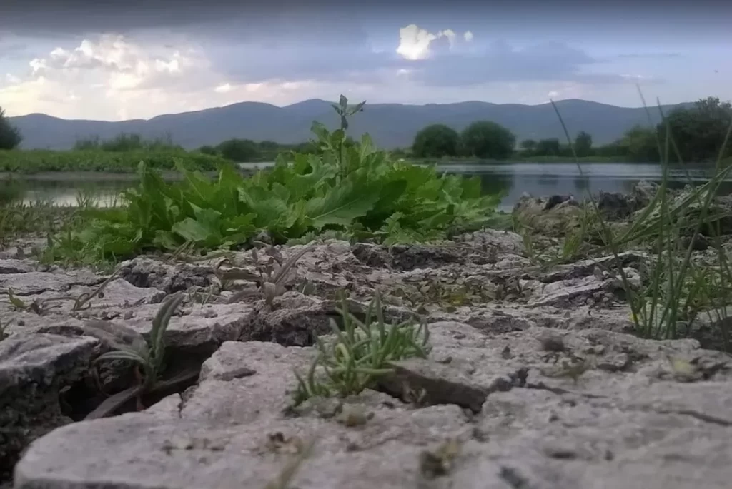 Kura Nehri Kamp Alani 3