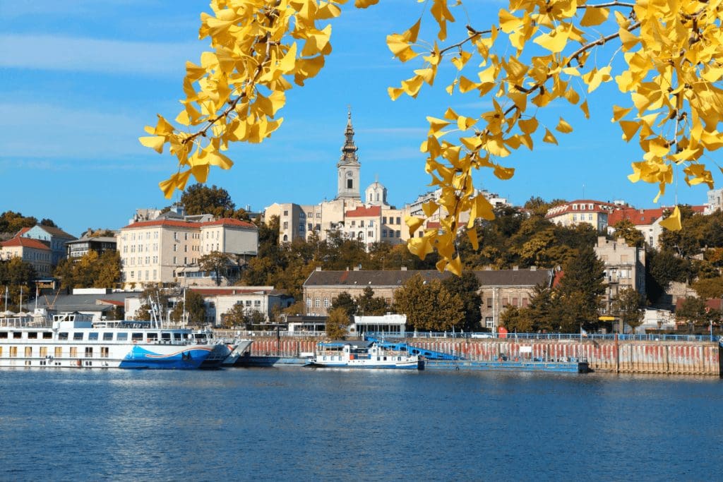 Belgrad Vizesiz Avrupanin Gozdesi 4