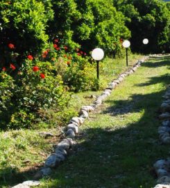 Olimpos Deep Green Bungalows