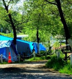 Ağva Green Park Camping