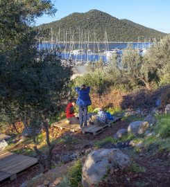 Kaş Evren Camping