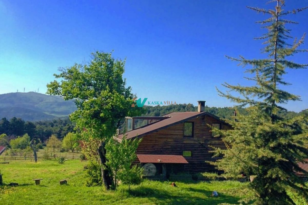 Sekoya Dağ Evi,Yalova Kocaeli Dağ Evleri Geziyoo.co