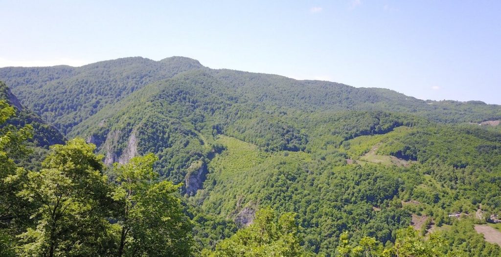 Zirve Dağ Evi,Baiiskele Kocaeli Dağ Evleri Geziyoo.co