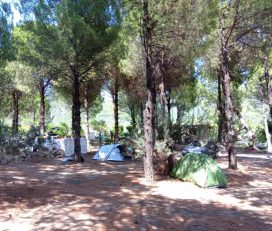 İnek Obası Çadır Kamp
