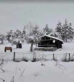 Abant Çadırlık Kamp Alanı