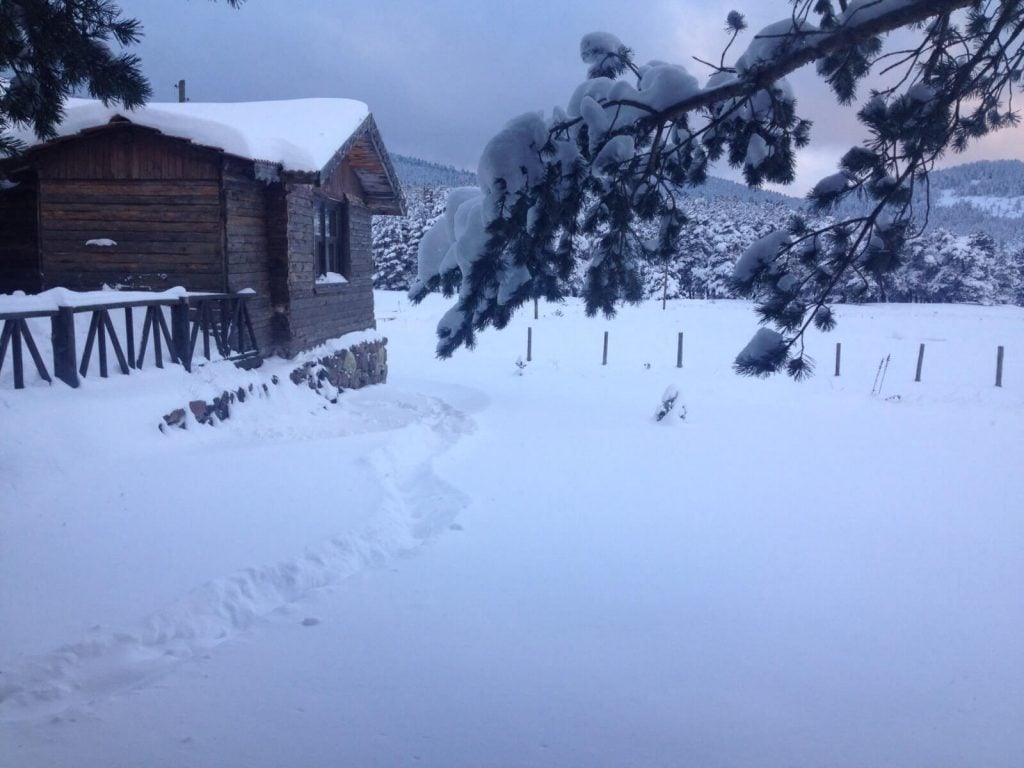 Sarıalan Dağ Evi,Kartalkaya Bolu Dağ Evleri Geziyoo.co