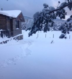 Sarıalan Dağ Evi ve Bungalov