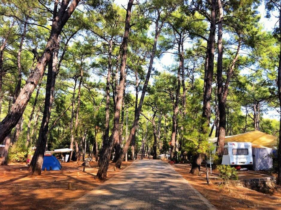 Akyaka Orman Kampı