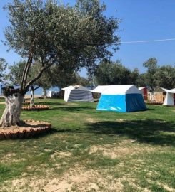 Barbaros Camping