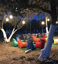 Bodrum Masalı Camping