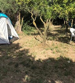 Bodrum Masalı Camping