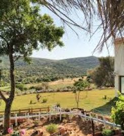 delice doga evi foca izmir geziyoo co delice doga evi foca izmir geziyoo co