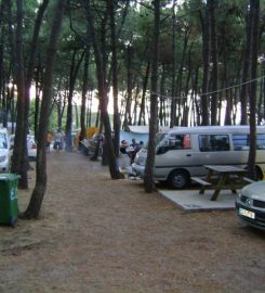 Erikli Camping