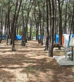 Erikli Camping