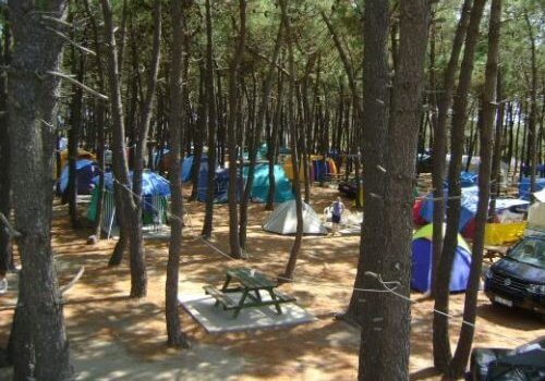 Erikli Yeşil Kamp Edirne Kamp Alanları Geziyoo.co
