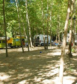 Gökçesu Camping