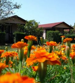 Natura Bungalows