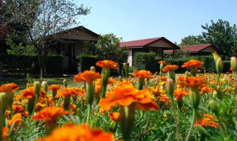 Natura Bungalows