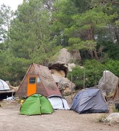 Camel Camping