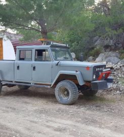 Camel Camping