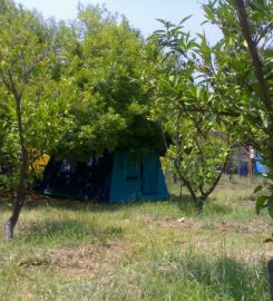 Endemik Camping