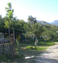 Endemik Camping