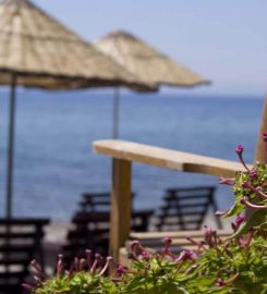 Assos Gargara Doğal Tatil Kampı