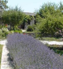 Bağbadem Tatil Evi