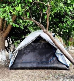 Begonvil Türkbükü Kamp Alanı