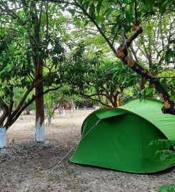 Begonvil Türkbükü Kamp Alanı