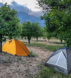 Çekirdeksiz Mandalin Camping