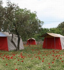 Gıdışım Camping