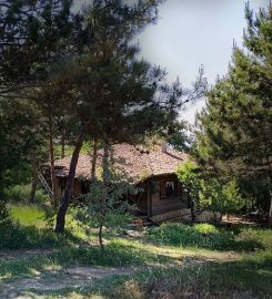 Dikey Dünya Doğa Evi