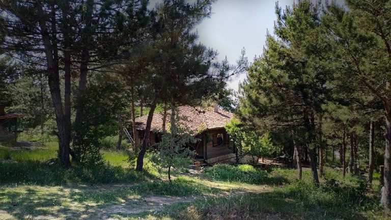 Dikey Dünya Doğa Evi Bursa Dağ Evleri Geziyoo.co