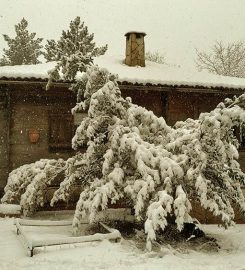 Dikey Dünya Doğa Evi