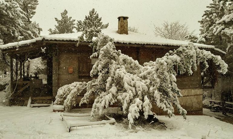 Dikey Dünya Doğa Evi