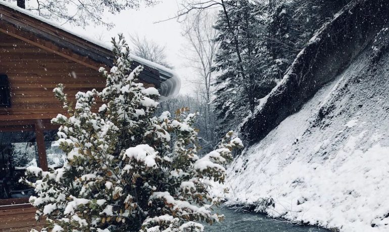 Doğa Köşkü Abant Bungalov Evleri